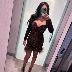 Fashionnova xs sparkly brown dress